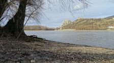 Hainburger Donauauen outside the National Park, view to Devínsky Hrad
