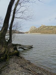 Hainburger Donauauen outside the National Park, view to Devínsky Hrad