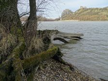 Hainburger Donauauen outside the National Park, view to Devínsky Hrad