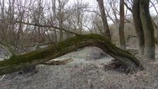 Hainburger Donauauen outside the National Park