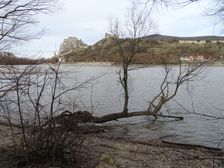 Hainburger Donauauen outside the National Park, view to Devínsky Hrad