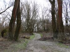 Hainburger Donauauen outside the National Park