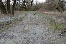 Hainburger Donauauen outside the National Park