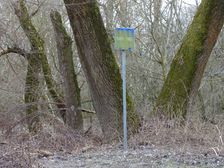 Hainburger Donauauen outside the National Park respectively on it´s edge