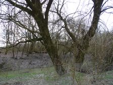 Hainburger Donauauen outside the National Park