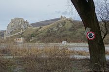 NP Donauauen, core zone, view to Devínsky Hrad