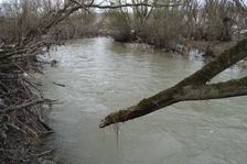 NP Donauauen, core zone