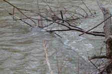 NP Donauauen, core zone