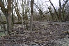 NP Donauauen, core zone