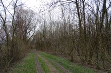 NP Donauauen, core zone