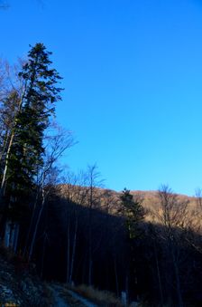 Zvažnica