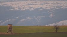 Hollern, view to Hundsheimer Berg