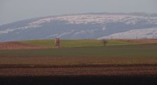 Hollern, view to Hundsheimer Berg