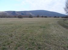 Marchauen Markthof, sand hills, view to Devínska Kobyla, with permission of © Gudula Haug