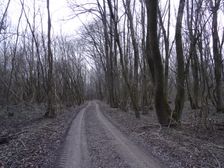Marchauen Markthof