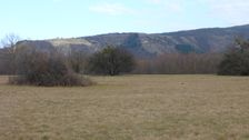 Marchauen Markthof, view to Sandberg