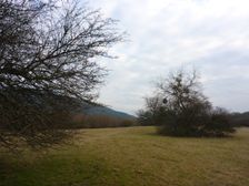 Marchauen Markthof, sand hills