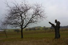 Berg - Königswarte