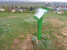 Neusiedl, Kalvarienberg