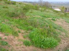 Neusiedl, Kalvarienberg