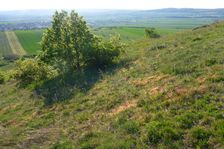 Hackelsberg Jois, view to Winden