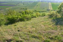 Hackelsberg Jois, view to Winden