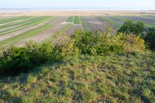 Hackelsberg Jois, view to Neusiedler See