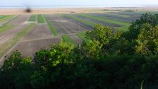 Hackelsberg Jois, what´s on the lens?