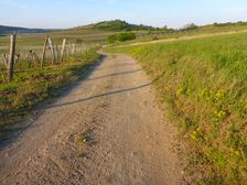 Hackelsberg Winden & Jois, view to Jungerberg