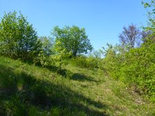 Breitenbrunn, NSG Thenau(riegel)