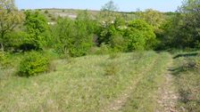 Breitenbrunn, NSG Thenau(riegel)
