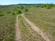 Breitenbrunn, NSG Thenau(riegel)