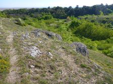 Breitenbrunn, NSG Thenau(riegel)