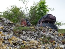 Purbacher Heiden, Homo sapiens