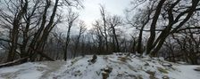 Pohľad na opačnú stranu
