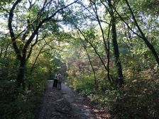 Zeilergraben - near Königsberg