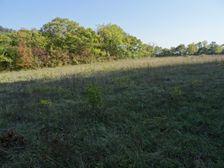 Zeilergraben - near Königsberg