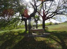 Hundsheimer Berg, with permission of © Gudula Haug