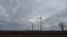 Petronell. Wind power plants cause ecological damage by killing flying animals.