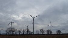 Petronell. Wind power plants cause ecological damage by killing flying animals.