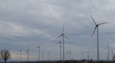 Petronell. Wind power plants cause ecological damage by killing flying animals.