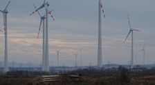 Petronell. Wind power plants cause ecological damage by killing flying animals.