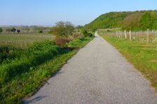 Jois, view to Hackelsberg