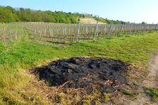 Jois, useless but dirty burning against nigth frost