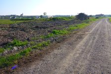 Jois, deforestation