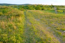 Breitenbrunn, edge of the NSG Thenau(riegel)