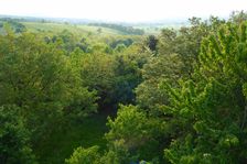 Breitenbrunn, Leithagebirge