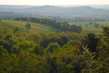 Breitenbrunn, Leithagebirge, view to Jungerberg & Hackelsberg