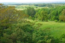 Breitenbrunn, Leithagebirge, view to Thenauriegel
