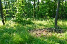 Breitenbrunn, Leithagebirge